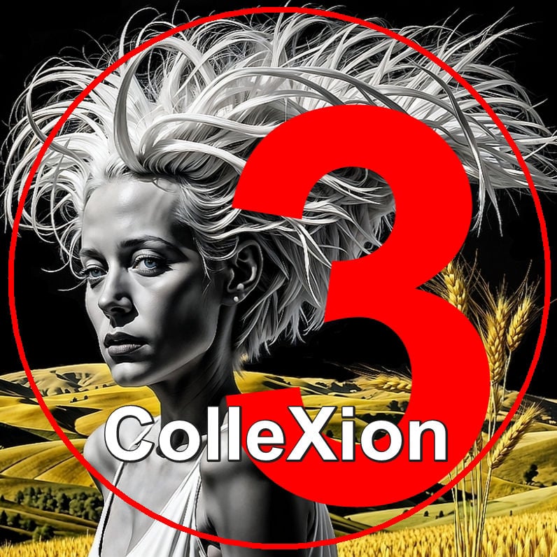 ColleXion 3 by Mister"X"