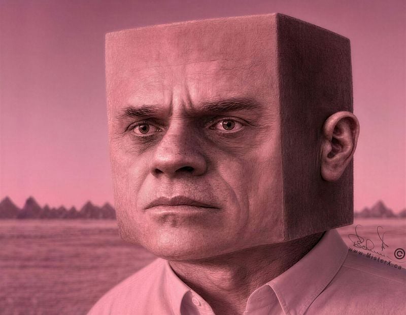 The image features a close-up portrait of a man whose head is shaped like a perfect cube, presented in a monochromatic pink tone. His face occupies the front plane of the cube, displaying a serious or intense expression with prominent brow lines, detailed wrinkles around the eyes, and a slightly down-turned mouth. A single, highly realistic ear is visible on the side plane of his blocky head. He wears a button-up dress shirt, and the background depicts a vast, flat landscape under a hazy sky, punctuated by small, distant triangular formations that resemble a mountain range or structures. An artist's signature and a website URL, "www.MisterX.ca," are visible on the lower right side of the image.